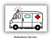 Car or Ambulance Service