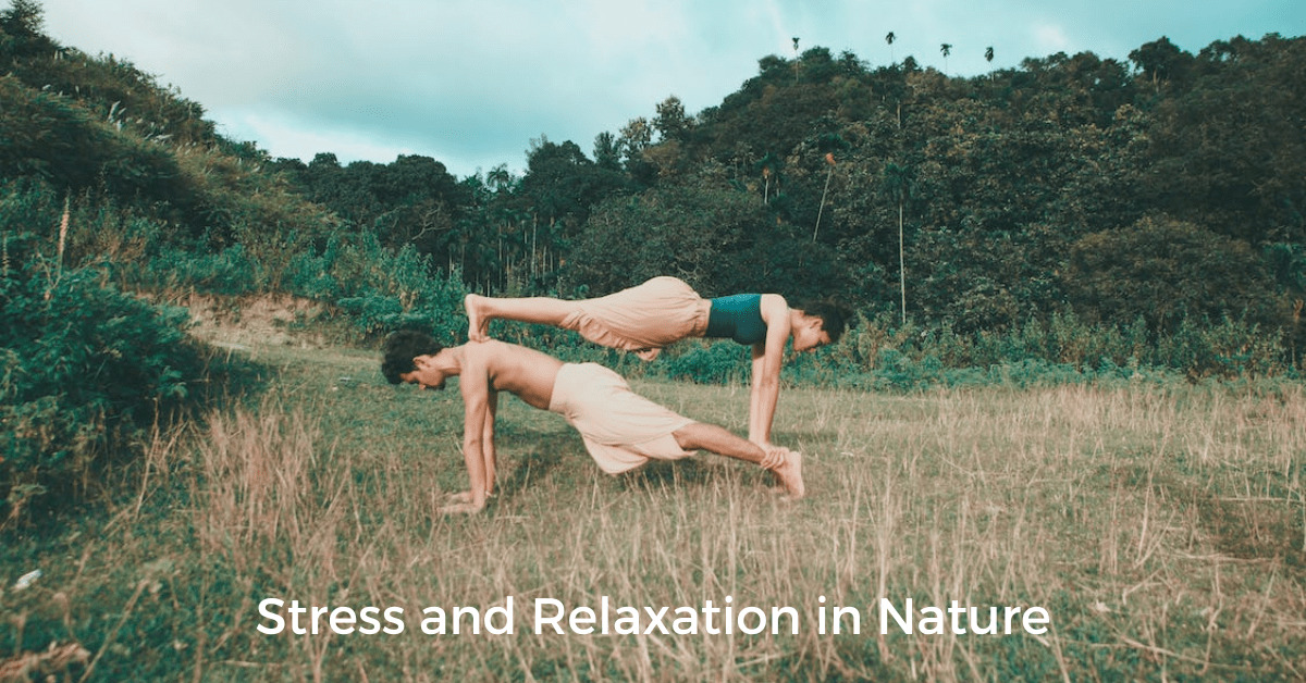 The Effects of Stress on the Body - Stress and Relaxation in Nature